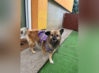 Fiona SR, voller Neugier und Sanftmut Fiona SR, voller Neugier und Sanftmut