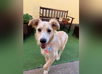 Samuel SR - aufgeschlossen, verspielt