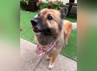 Fiona SR, voller Neugier und Sanftmut Fiona SR, voller Neugier und Sanftmut