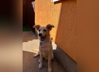 Samuel SR - aufgeschlossen, verspielt