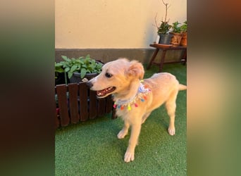 Samuel SR - aufgeschlossen, verspielt