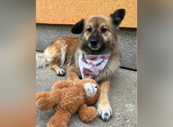 Fiona SR, voller Neugier und Sanftmut Fiona SR, voller Neugier und Sanftmut