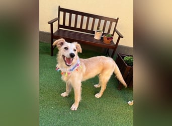 Samuel SR - aufgeschlossen, verspielt