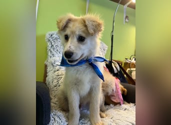 Samuel SR - aufgeschlossen, verspielt