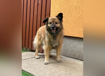 Fiona SR, voller Neugier und Sanftmut Fiona SR, voller Neugier und Sanftmut