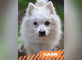 Sami