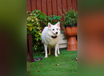 Timm sucht warmherziges Zuhause