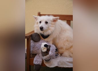 Timm sucht warmherziges Zuhause