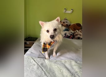 Eddy sucht Kuscheleinheiten!