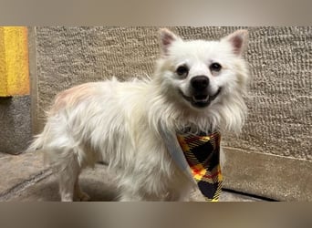 Eddy sucht Kuscheleinheiten!