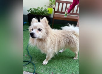 Maddox SR - Kuschelbär möchte Auftauen