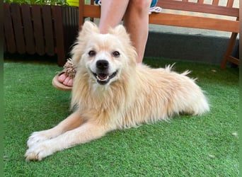 Maddox SR - Kuschelbär möchte Auftauen