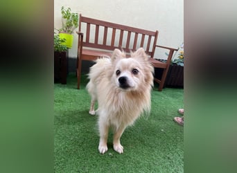 Maddox SR - Kuschelbär möchte Auftauen