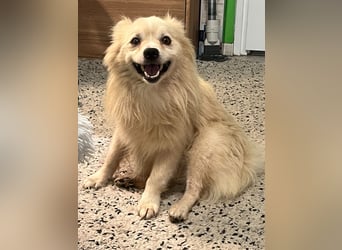 Maddox SR - Kuschelbär möchte Auftauen