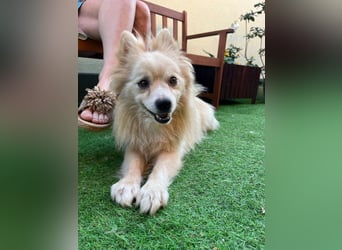 Maddox SR - Kuschelbär möchte Auftauen