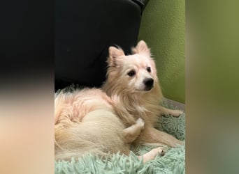 Maddox SR - Kuschelbär möchte Auftauen