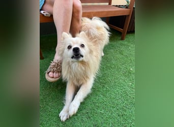 Maddox SR - Kuschelbär möchte Auftauen