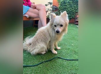 Maddox SR - Kuschelbär möchte Auftauen