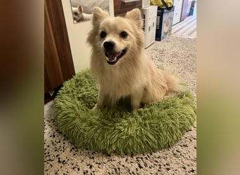 Maddox SR - Kuschelbär möchte Auftauen