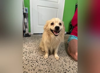 Maddox SR - Kuschelbär möchte Auftauen