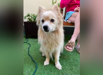 Maddox SR - Kuschelbär möchte Auftauen