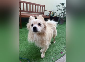 Maddox SR - Kuschelbär möchte Auftauen