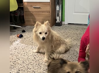 Maddox SR - Kuschelbär möchte Auftauen