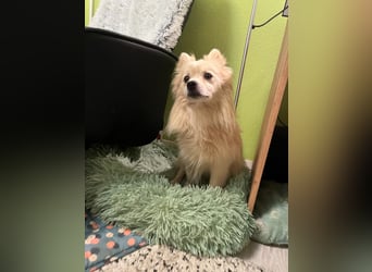 Maddox SR - Kuschelbär möchte Auftauen