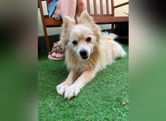 Maddox SR - Kuschelbär möchte Auftauen