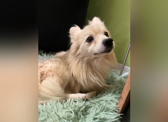 Maddox SR - Kuschelbär möchte Auftauen