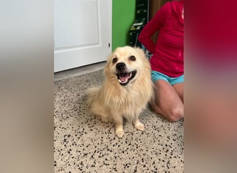 Maddox SR - Kuschelbär möchte Auftauen