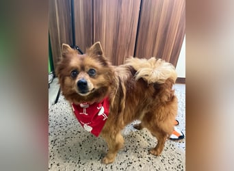 Nola SR - aufgeschlossen, neugierig