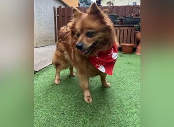 Nola SR - aufgeschlossen, neugierig