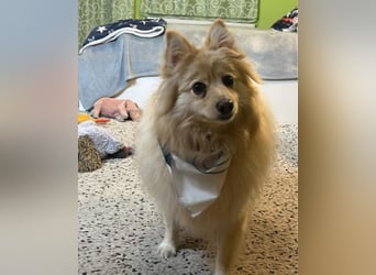 Ivy - freundlich, aufgeschlossen