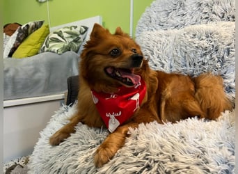 Nola SR - aufgeschlossen, neugierig