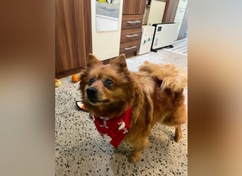 Nola SR - aufgeschlossen, neugierig