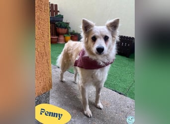 Penny SR - offen, verkuschelt