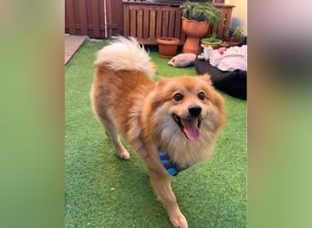 Beni SR - verspielt, offen