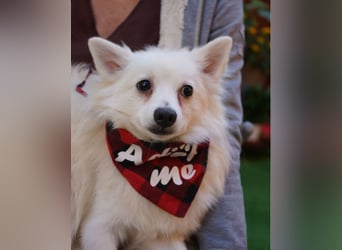 Ted SR, sucht Liebe und Zuneigung