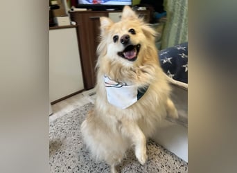 Ivy - freundlich, aufgeschlossen