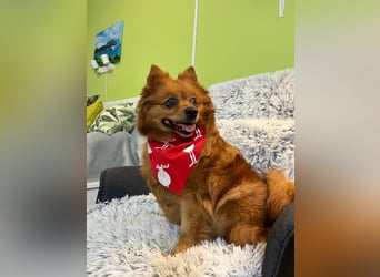 Nola SR - aufgeschlossen, neugierig