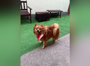 Nola SR - aufgeschlossen, neugierig