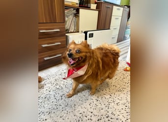 Nola SR - aufgeschlossen, neugierig