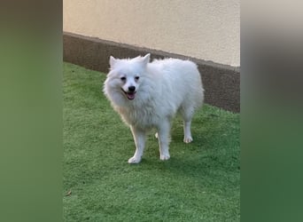 Ted SR, sucht Liebe und Zuneigung