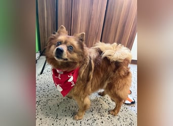 Nola SR - aufgeschlossen, neugierig