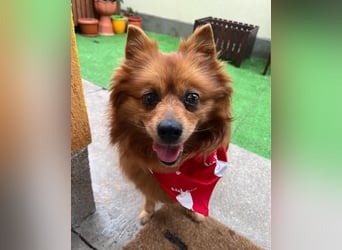 Nola SR - aufgeschlossen, neugierig