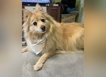 Ivy - freundlich, aufgeschlossen