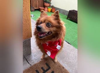 Nola SR - aufgeschlossen, neugierig