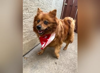 Nola SR - aufgeschlossen, neugierig