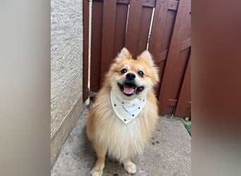 Yumo SR - aufgeschlossen, verträglich